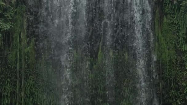 Water Cascading Mountainous Wall Millaa Millaa Falls North Queensland Australia — 图库视频影像