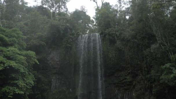 Millaa Millaa Waterfall Rainy Season Queensland Australia Tilt Shot — 비디오