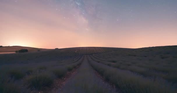 Night Timelapse Lavender Fields Castilla Mancha Spain Milky Way Crossing — Vídeos de Stock