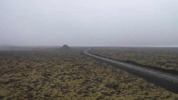 Islândia Musgo Rural Rochas Com Vídeo Drone Movendo Para Frente — Vídeo de Stock