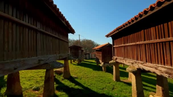 Skupina Mnoha Typických Galicijských Sýpek Ourense Merca Dolly Day — Stock video