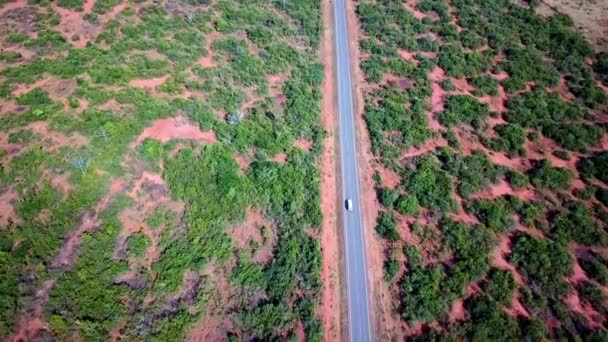 Isolated Asphalt Road Traveling Safari Vehicle Kenya East Africa Aerial — ストック動画