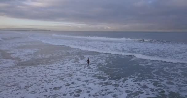 Titta Surfare Som Kommer Ner Vattnet Vid Venice Beach — Stockvideo