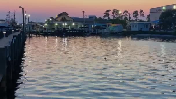 Static Locked Shot Empty Boat Dock Dusk Purple Hue Sky — Video