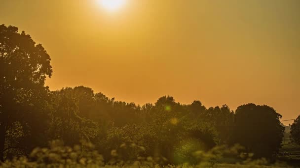 Glowing Sun Setting Forest Trees Golden Splendor Static Time Lapse — 图库视频影像