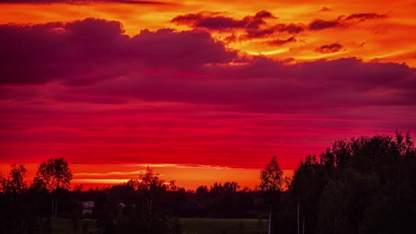 Vibrant Colorful Golden Sunset Sundown Cloudscape Time Lapse Forest — Stockvideo