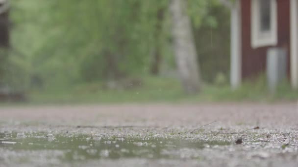 Extreme Hava Durumu Şemsiyeli Bir Çocuk Sağanak Yağmurda Koşar — Stok video
