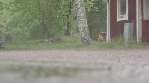 Extreme Weather Dziecko Parasolem Biega Ulewne Deszcze — Wideo stockowe