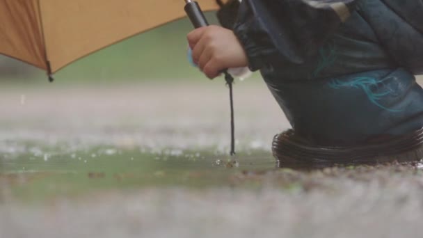 Yavaş Hareket Yakın Çekim Şiddetli Yağmurda Birikintisine Atlayan Bir Çocuk — Stok video
