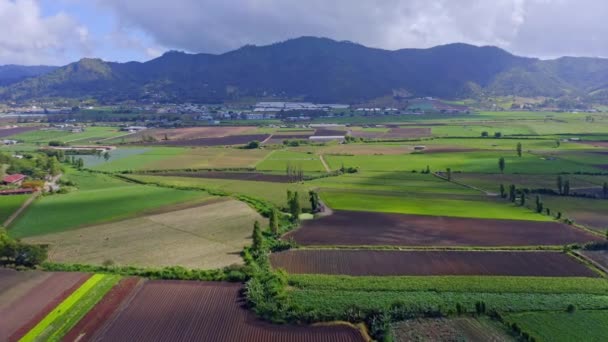 Top View Fertile Farms High Crop Yields Constanza Dominican — Vídeo de stock