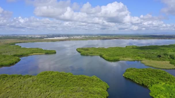 Laguna Bavaro Wildlife Refuge Mangrove Forests Dominican Republic Aerial — Video Stock