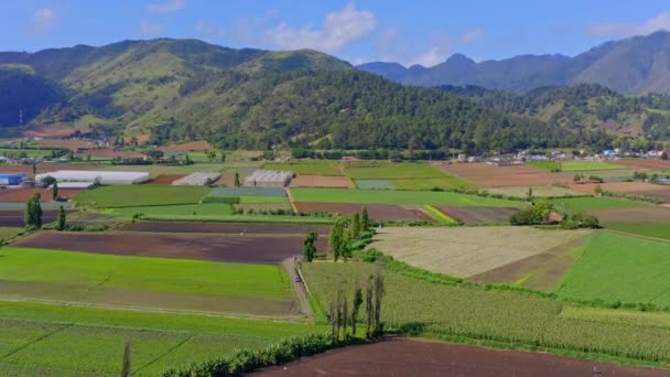 Aerial Flight Fertile Farm Lands Constanza Dominican Republic — Wideo stockowe