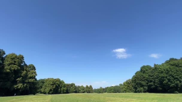 有蓝天和复制空间的夏季公园 — 图库视频影像
