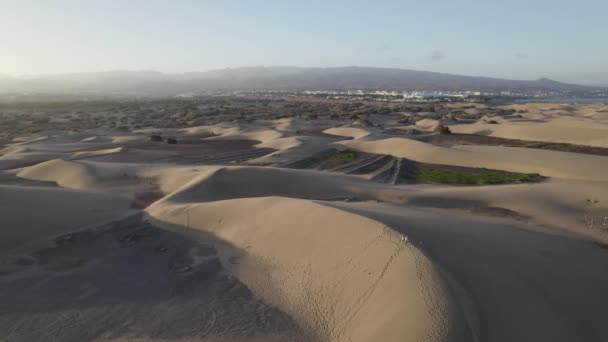 Majestic Landscape Maspalomas Golden Sand Dunes Gran Canaria Calm Sea — Stock Video