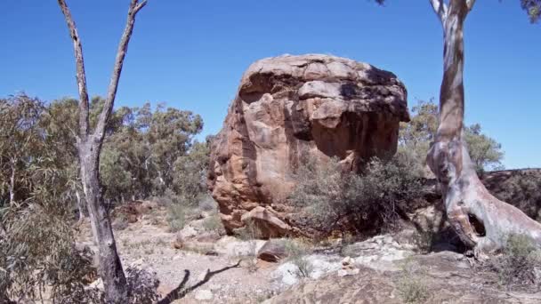 Flinders Rangers Kanyaka Homestead Ruins — Stockvideo