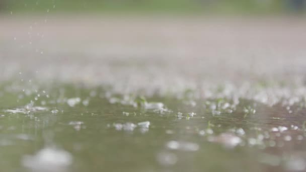 Slow Motion Shallow Focus Rain Droplets Puddle — Video