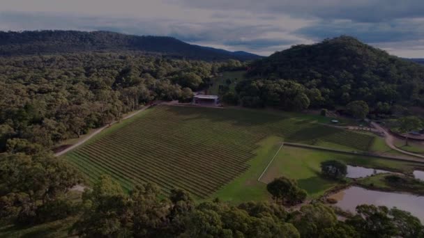 Drone Flying Mount Monument Winery Restaurant Art Installations — Stockvideo