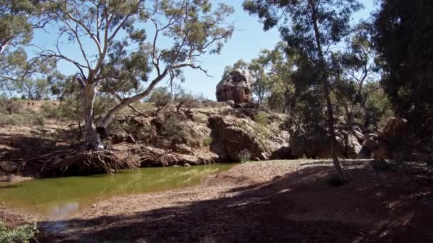 Flinders Rangers Kanyaka Homestead Ruins Skull Rock Waterhole 004 — Stock Video