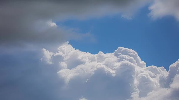 Низкоугольный Снимок Голубого Неба Быстро Движущимися Белыми Облаками Времени Пушистые — стоковое видео
