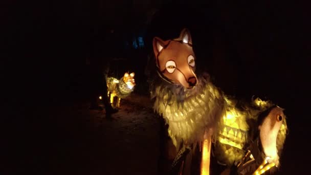Illuminated Models Wolves Night — 图库视频影像
