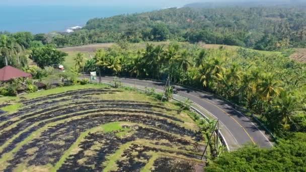 Φορτηγά Και Αυτοκίνητα Που Οδηγούν Ένα Τροπικό Νησί Καμένο Ρύζι — Αρχείο Βίντεο