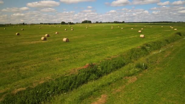 Aerial View Large Industrial Farming Field Many Hay Bales — kuvapankkivideo