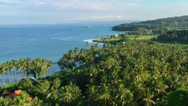 Aerial Coastal Landscape Blue Ocean Jasri Beach Full Coconut Tree — Vídeo de Stock