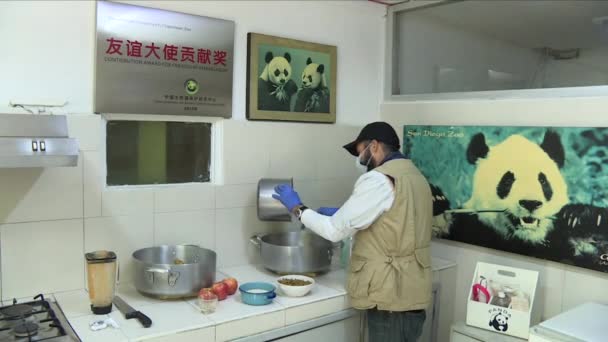 Zookeeper Preparing Panda Food — Vídeos de Stock