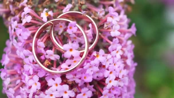 Wedding Rings Small Lilac Flowers — Video Stock