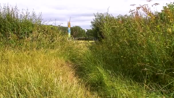 Overgrown Gateway Public Footpath England — Stok Video