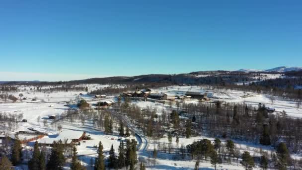 Langedrag Nature Park Sunny Winter Morning Backward Moving Ascending Aerial — Stockvideo