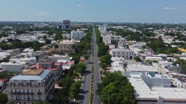 Aerial View Paseo Montejo Beautiful Historical Avenue Merida Mexico — 图库视频影像
