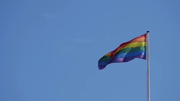 Waving Rainbow Flag Gay Community Long Flagpole Clear Blue Sky — Vídeo de stock