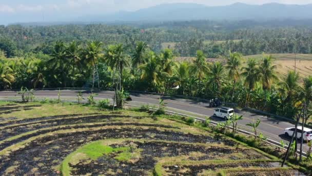 Cars Drive Burned Rice Field Terrace Bali Indonesia Static Aerial — Wideo stockowe