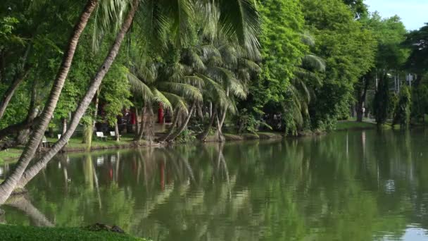 Tropical Scene Palm Tress Lake Lumpini Park Bangkok Peaceful Relaxing — Video