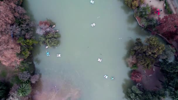 Aerial Top View Many People Riding Pedal Boats River City — Wideo stockowe