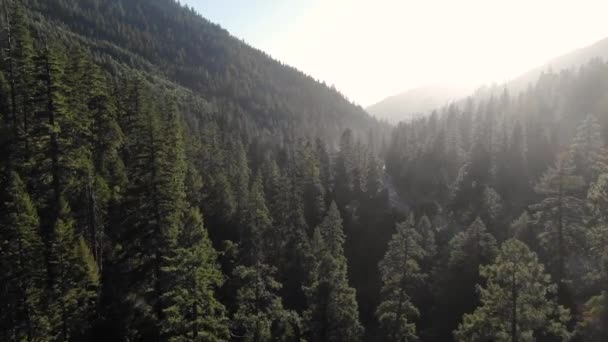 Slow Cinematic Ariel Drone Shot Hovering Trees Highway California Lake — Video Stock