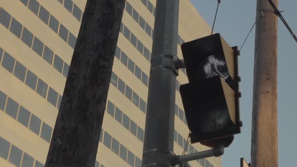 Pedestrian Light Flashing Walk Stop Time Countdown Building Grayish Sky — Stock videók