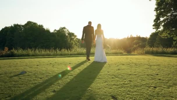 Silhouette Married Couple Bride Groom Holding Hands Walk Away Golden — Stock Video