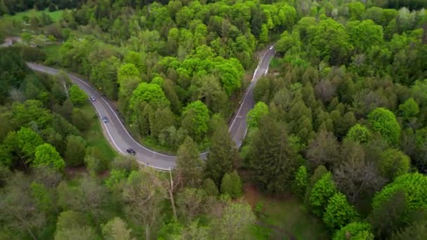 Aerial Tracking Shot Vehicle Convoy Travelling Lush Forest Landscape Turns — Stock video