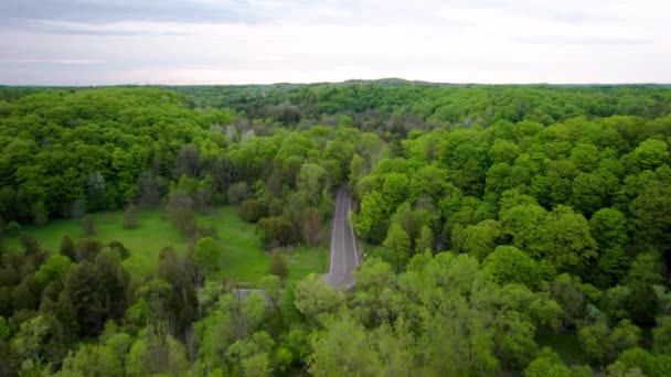 Fast Fly Valley Road Forest Tunnel Turn Covered Dense Lush — Stock videók