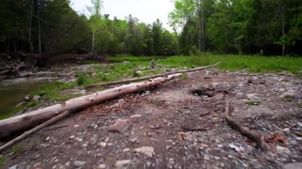 Fly Dry Rocky Riverbed Driftwood Rough Stone Boulders Forest Landscape — Stock video