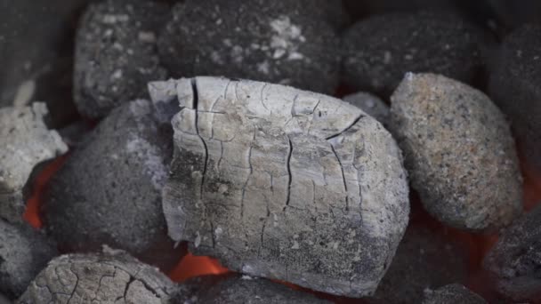 Charcoal Briquettes Ashing While Preheating Barbecue — Stock videók