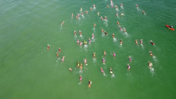 Women Swimmers Swimming Sea Green Drone Shot Gulf Mexico — Stockvideo