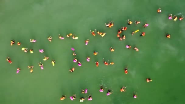 Swimmers Start Race Swimming Sea Green Drone Shot Forward — Stok video