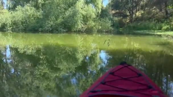 Biólogo Kayaker Ponto Vista Enquanto Supera Rio Água Verde Espanha — Vídeo de Stock