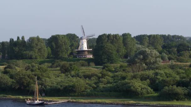 Koe Molen Amongst Trees Veere Zeeland Netherlands Aerial — Stockvideo