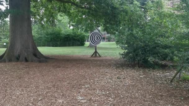 Spinning Spiral Optical Illusion Wooden Pole Park — Stock video