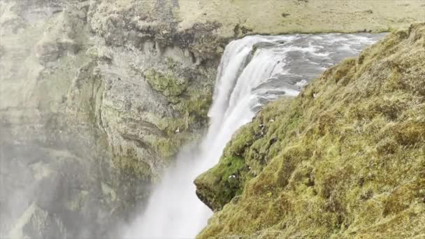 Scatto Statico Della Cima Una Cascata Islanda Durante Primavera Nebbia — Video Stock