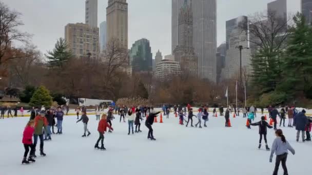 Een Statisch Uitzicht Van Kinderen Volwassenen Schaatsen Met Sneeuw Als — Stockvideo